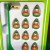 Subbuteo La Leggenda Ireland 1994